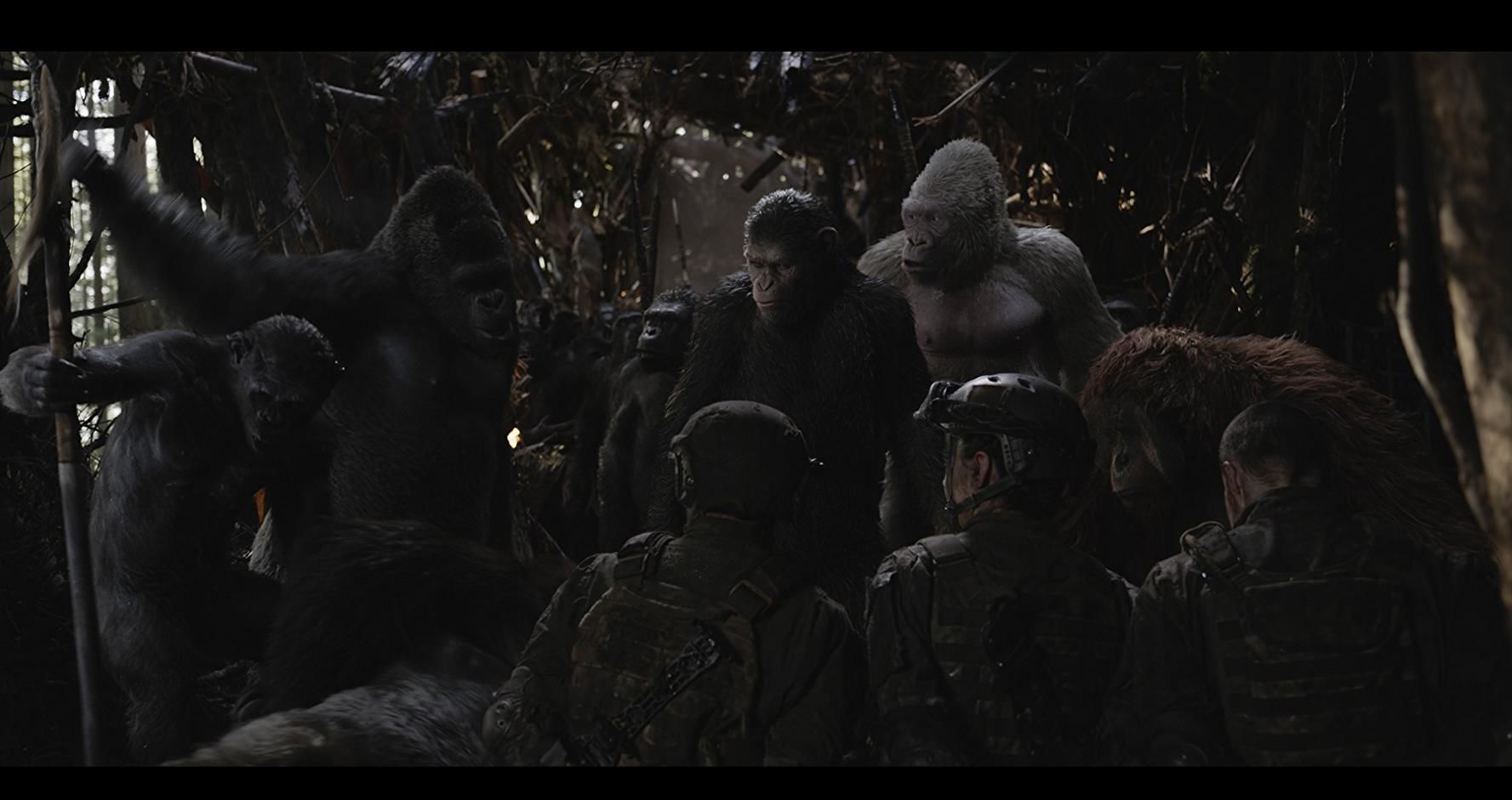 #79. War for the Planet of the Apes